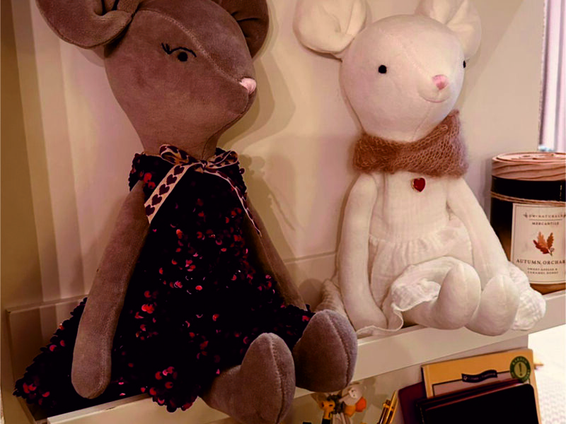 MAXI Myszka Disco2 800x600