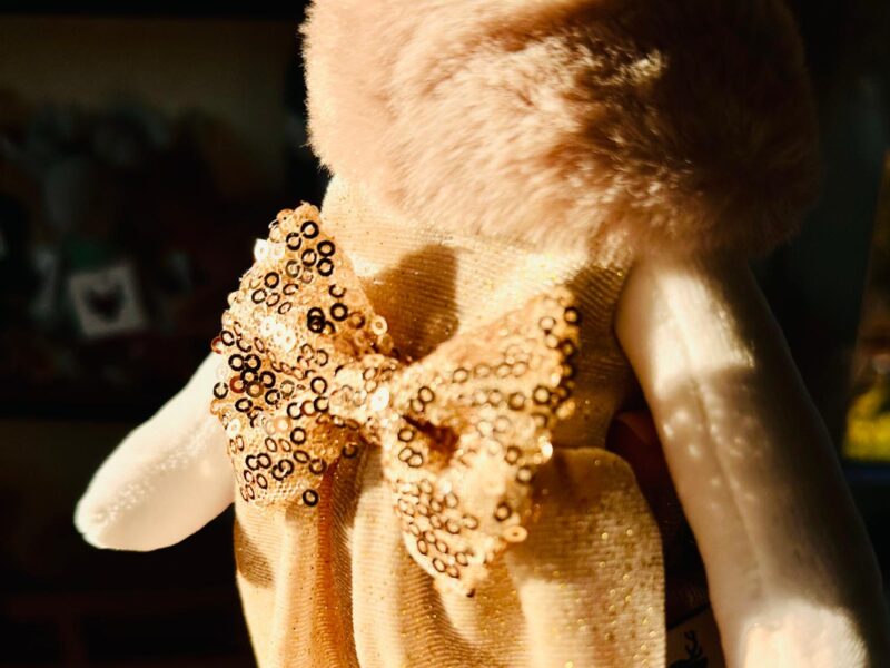 WhatsApp Image 2025 12 16 At 12.15.16 800x600